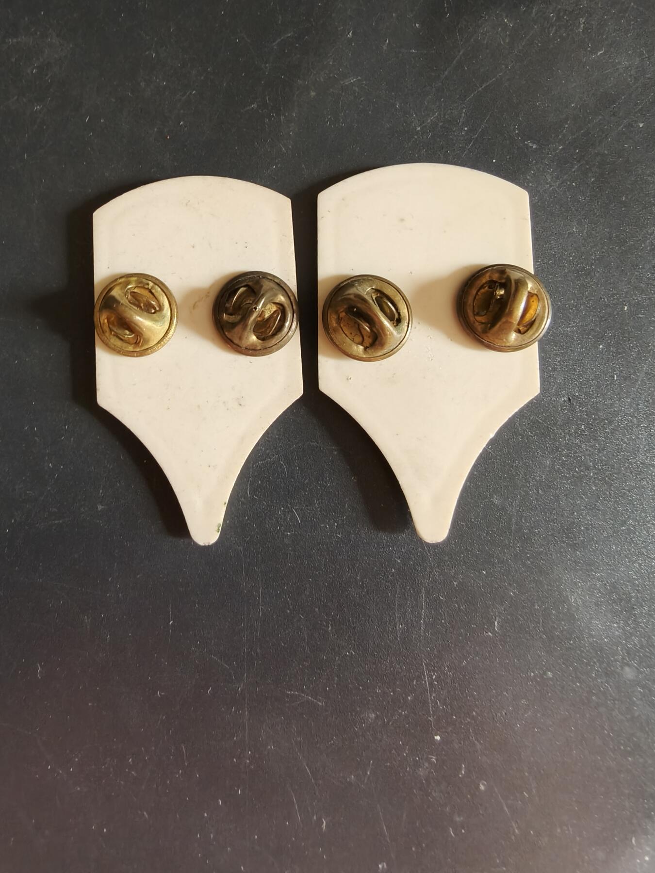 老王徽章第163期 13-15日三场连拍 16日统一发货  13、14日结束后可寄存 法国证章