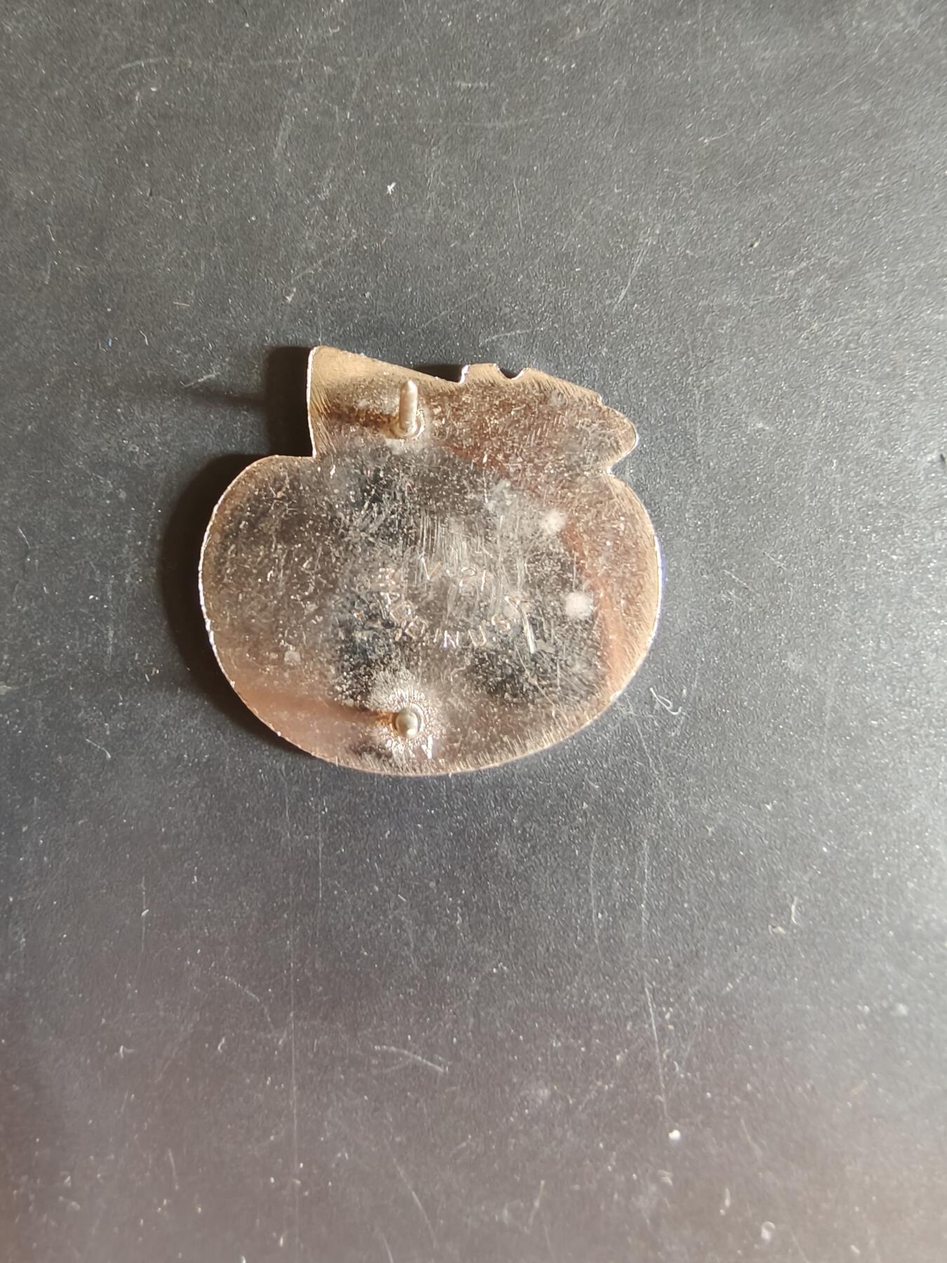 老王徽章第163期 13-15日三场连拍 16日统一发货  13、14日结束后可寄存 法国证章