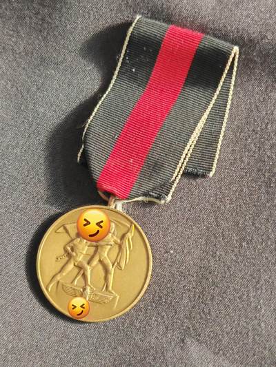 时顺第二十五拍 - 德国鲜花战争奖章系列——合并苏台德奖章