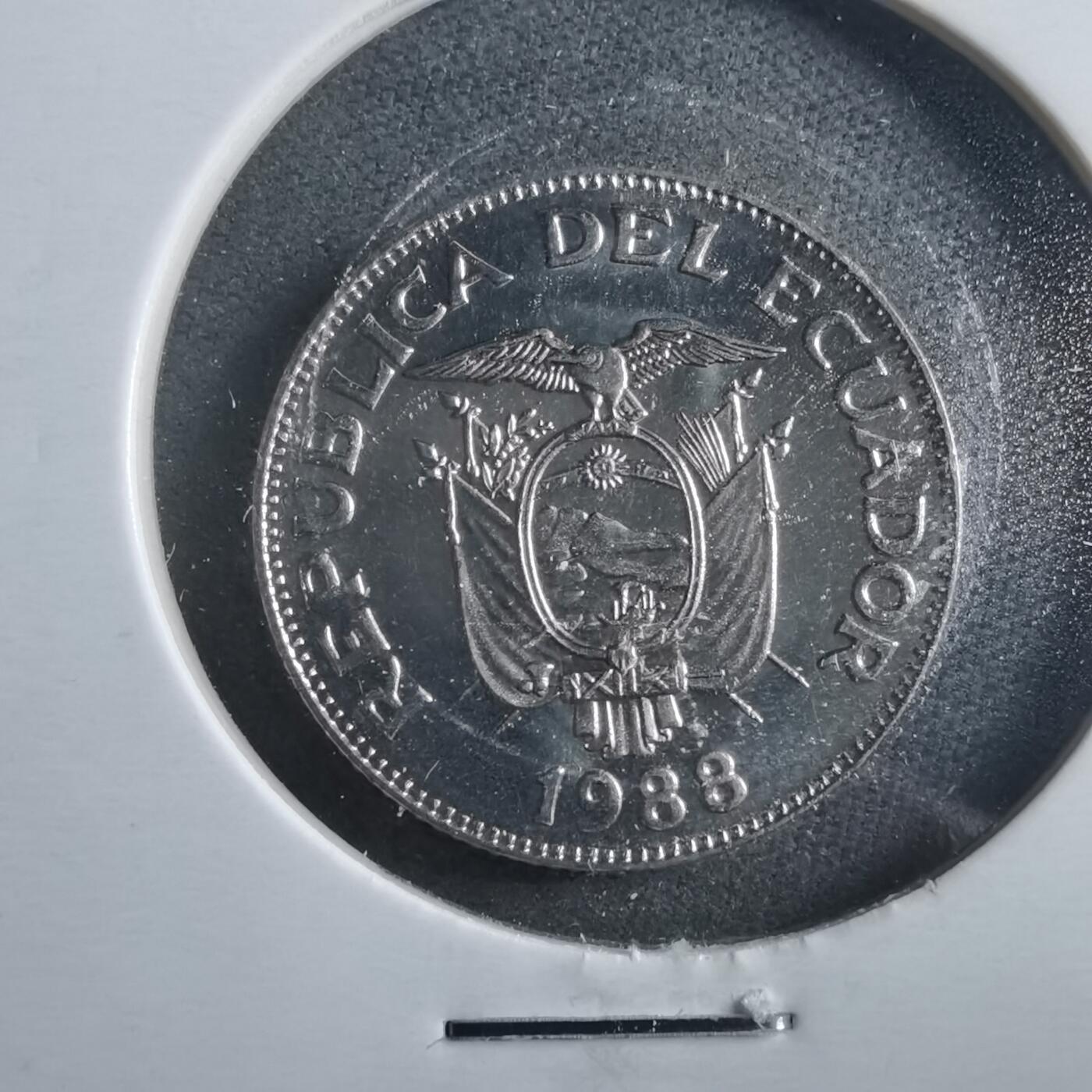 沼泽如烟--第906场