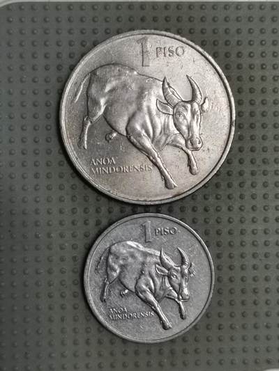 2025年第118场各国散币拍卖（总第118场） - 菲律宾1比索2枚