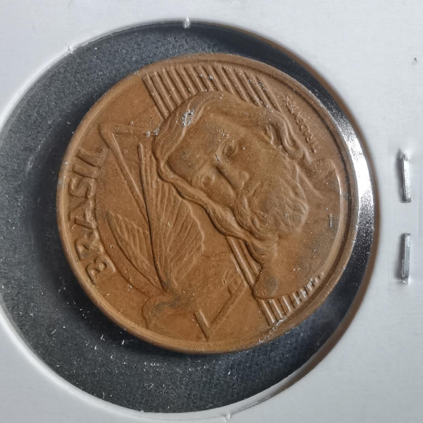 沼泽如烟--第906场