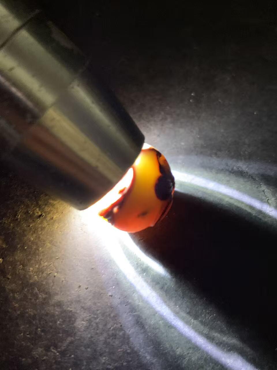 精美亚光草花纹战国红玛瑙手工雕刻蝶恋花随形珠一颗！