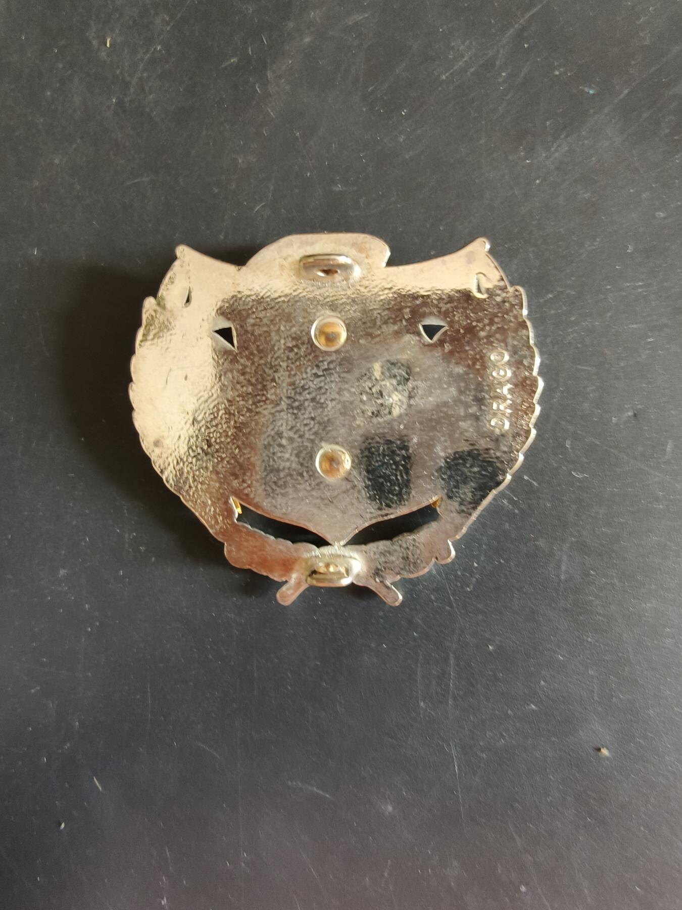 老王徽章第163期 13-15日三场连拍 16日统一发货  13、14日结束后可寄存 法国证章