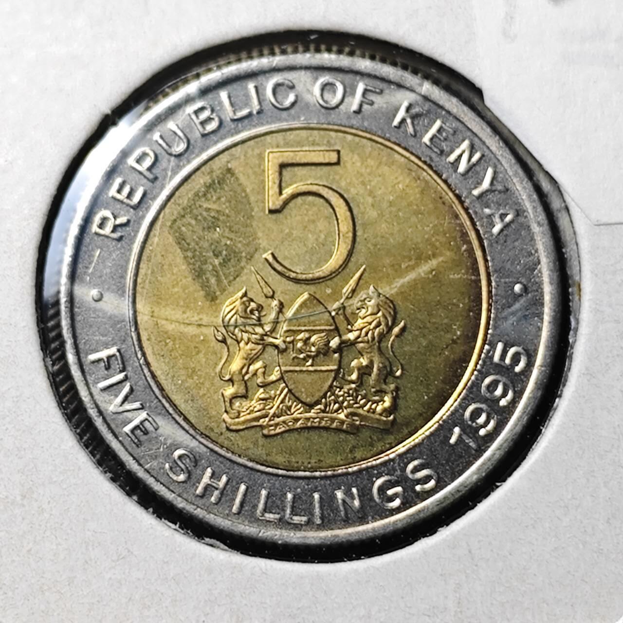 KK钱币收藏小铺  第372场  2月预留时间 周末发货