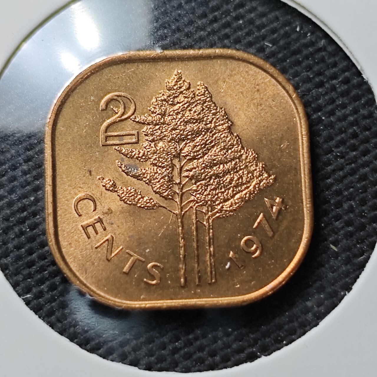 KK钱币收藏小铺  第371场  2月预留时间 周末发货  斯威士兰2分铜币 好品