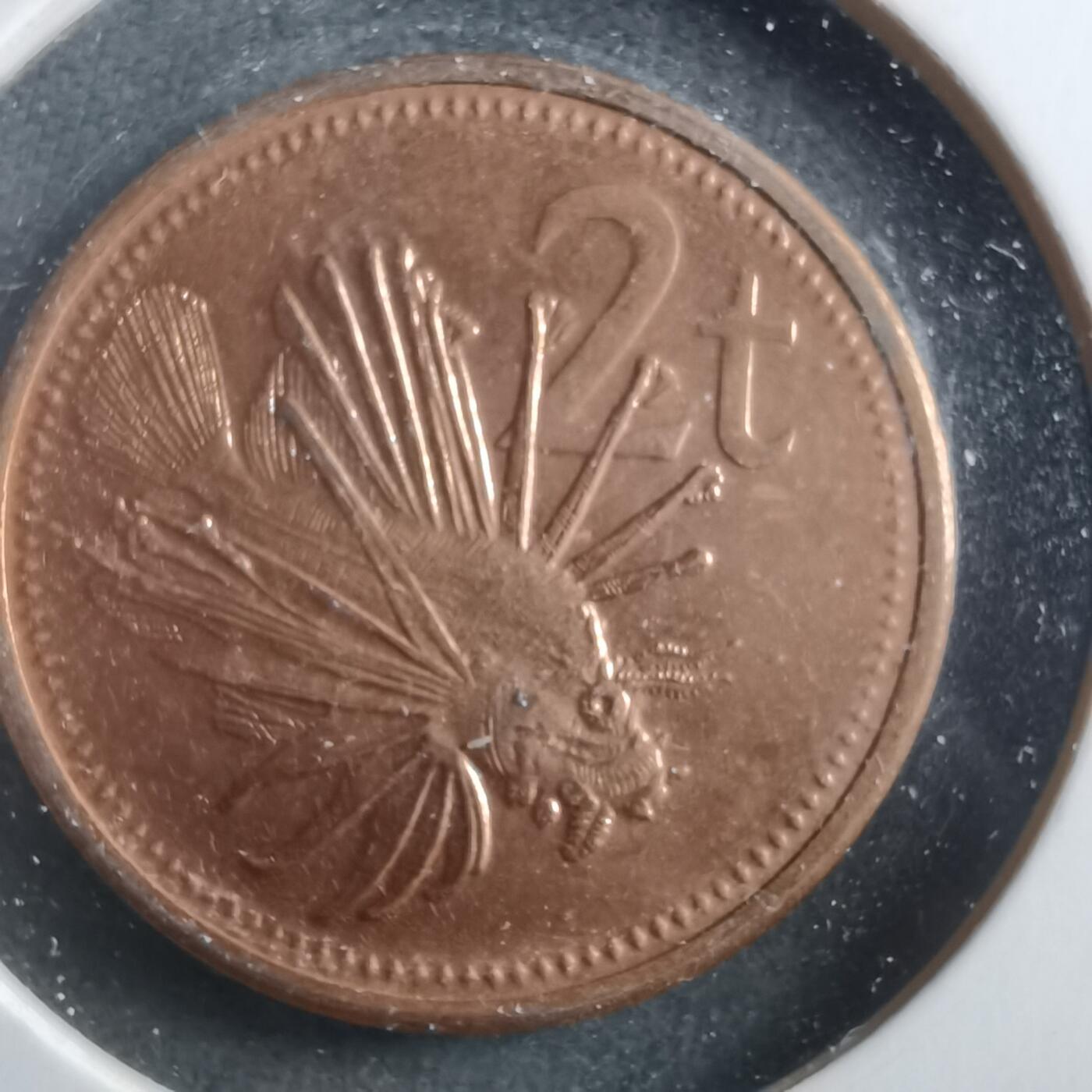 沼泽如烟--第906场