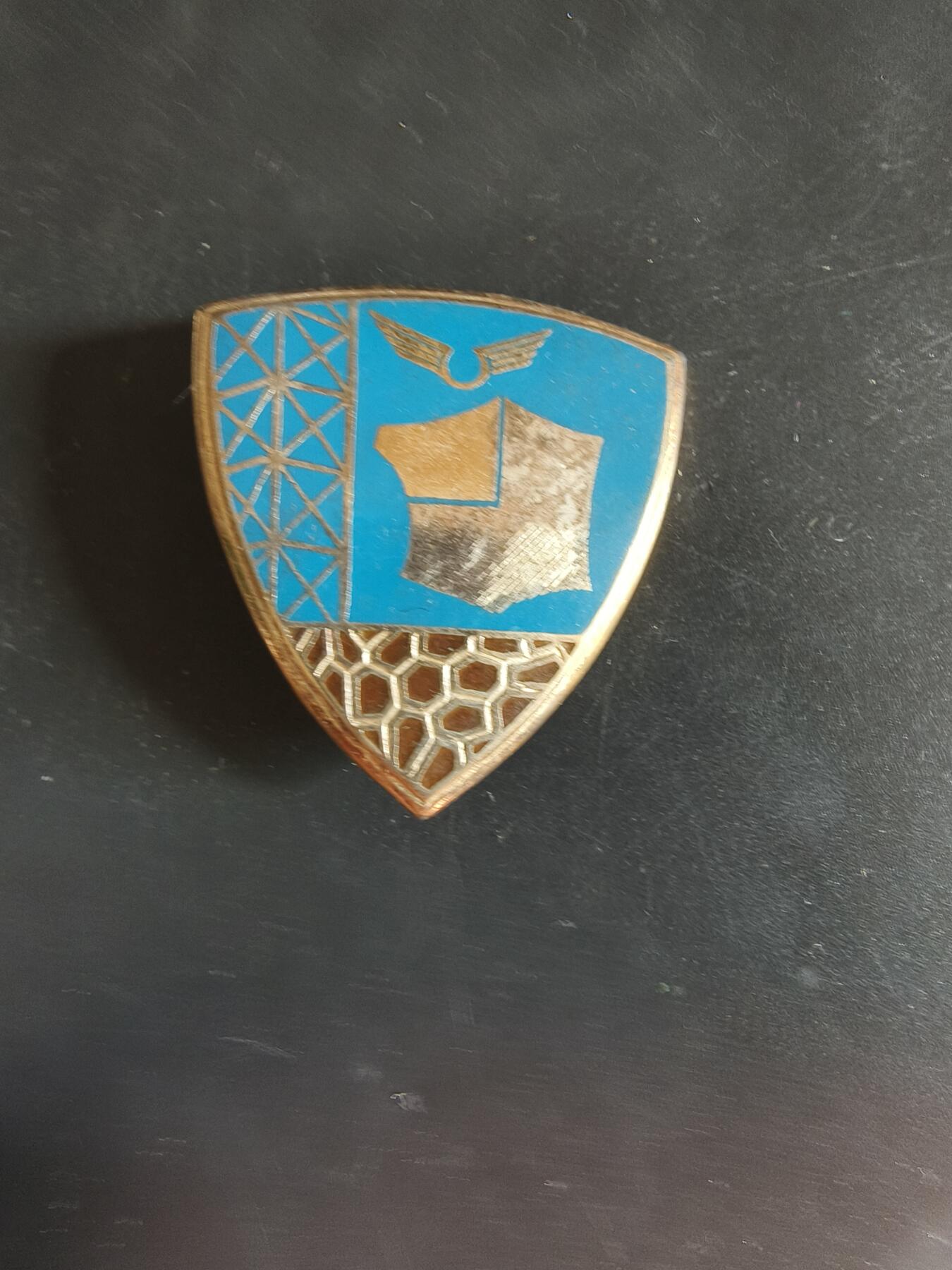 老王徽章第163期 13-15日三场连拍 16日统一发货  13、14日结束后可寄存 法国证章