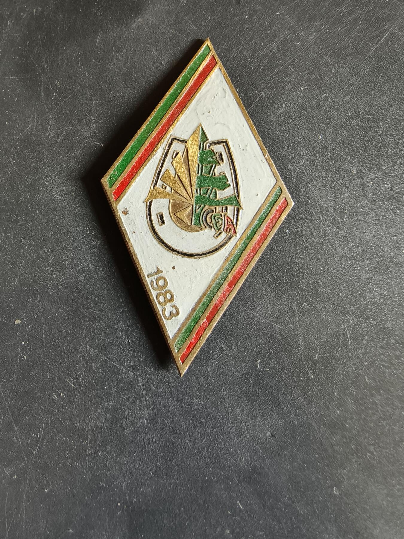 老王徽章第163期 13-15日三场连拍 16日统一发货  13、14日结束后可寄存 法国证章