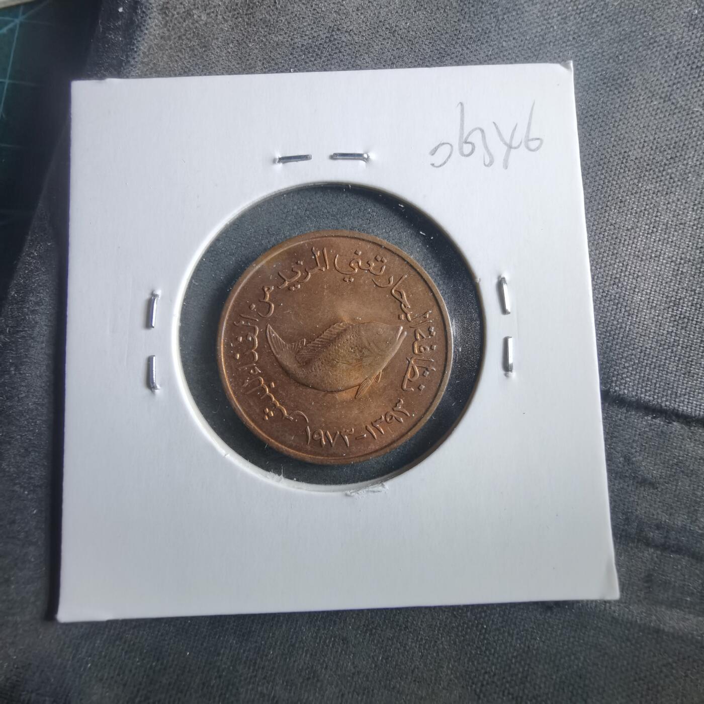 沼泽如烟--第906场 阿联酋