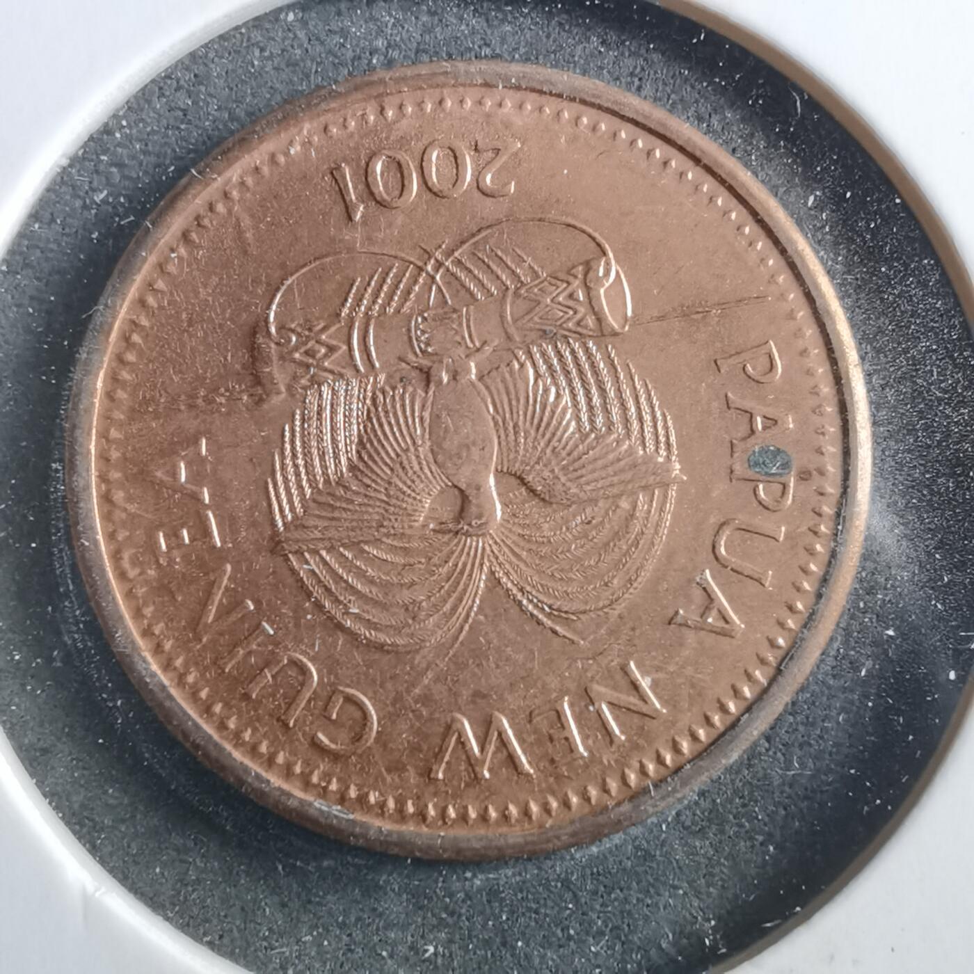 沼泽如烟--第906场