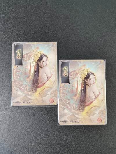 NO.15 好又多金牌大场，双11狂欢继续！每周一站式配齐，方便凑单！（周6晚8点截拍，卖家送拍0抽成！） - （人间传第6弹）燎原人间传 刷子 第6弹胡奿 双服饰一对——幻彩普卡工艺