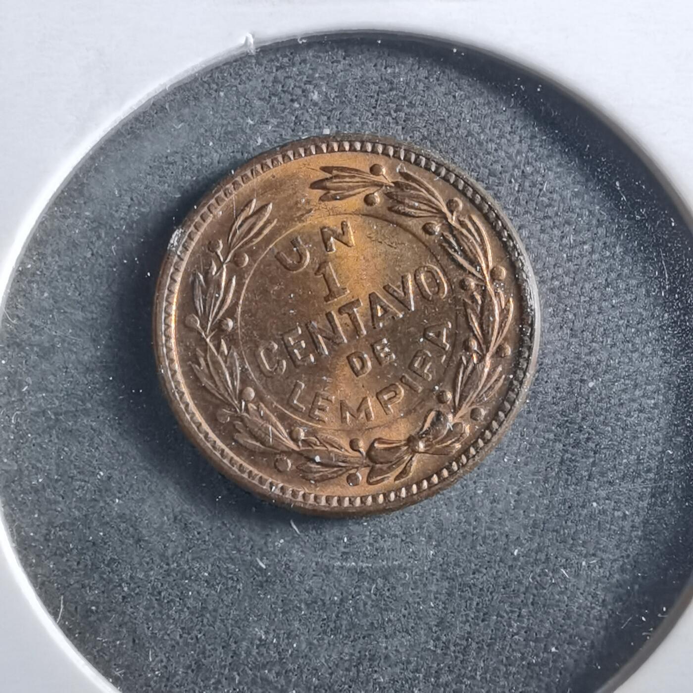 沼泽如烟--第906场