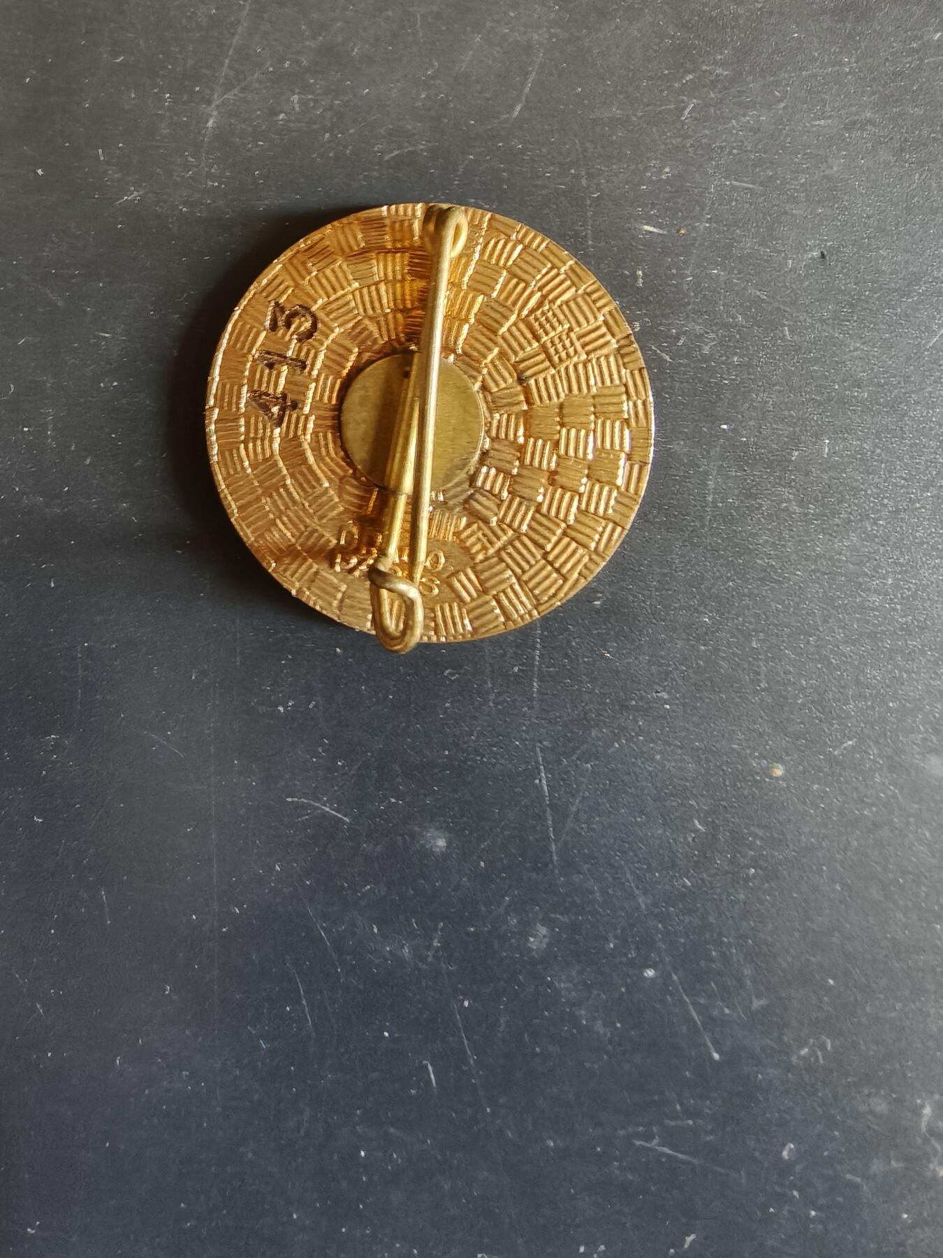 老王徽章第163期 13-15日三场连拍 16日统一发货  13、14日结束后可寄存 法国证章