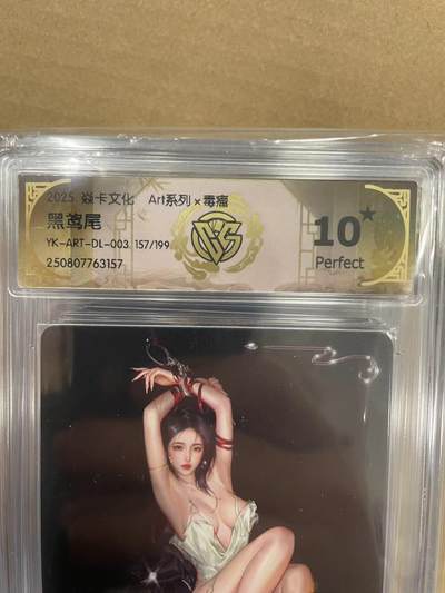 寸草不生拍卖 第十四期  - 2025 焱卡文化Art系列x毒瘤
黑鸢尾YK-ART-DL-003 157/199