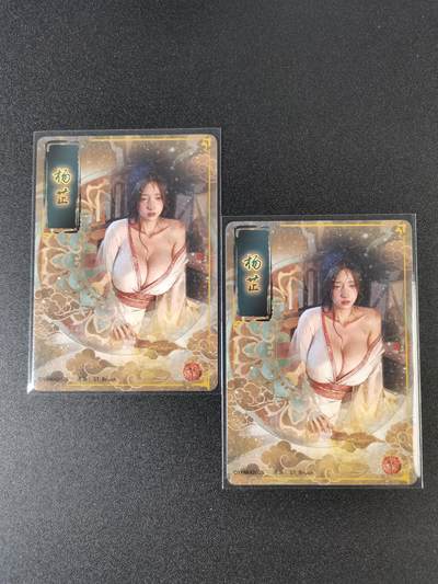 NO.15 好又多金牌大场，双11狂欢继续！每周一站式配齐，方便凑单！（周6晚8点截拍，卖家送拍0抽成！） - （人间传第17弹③）燎原人间传 刷子 第17弹杨芷 双服饰一对——幻彩普卡工艺