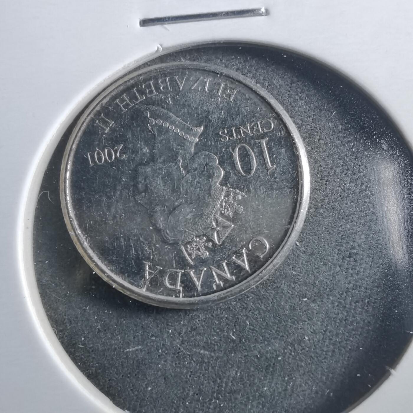 沼泽如烟--第906场