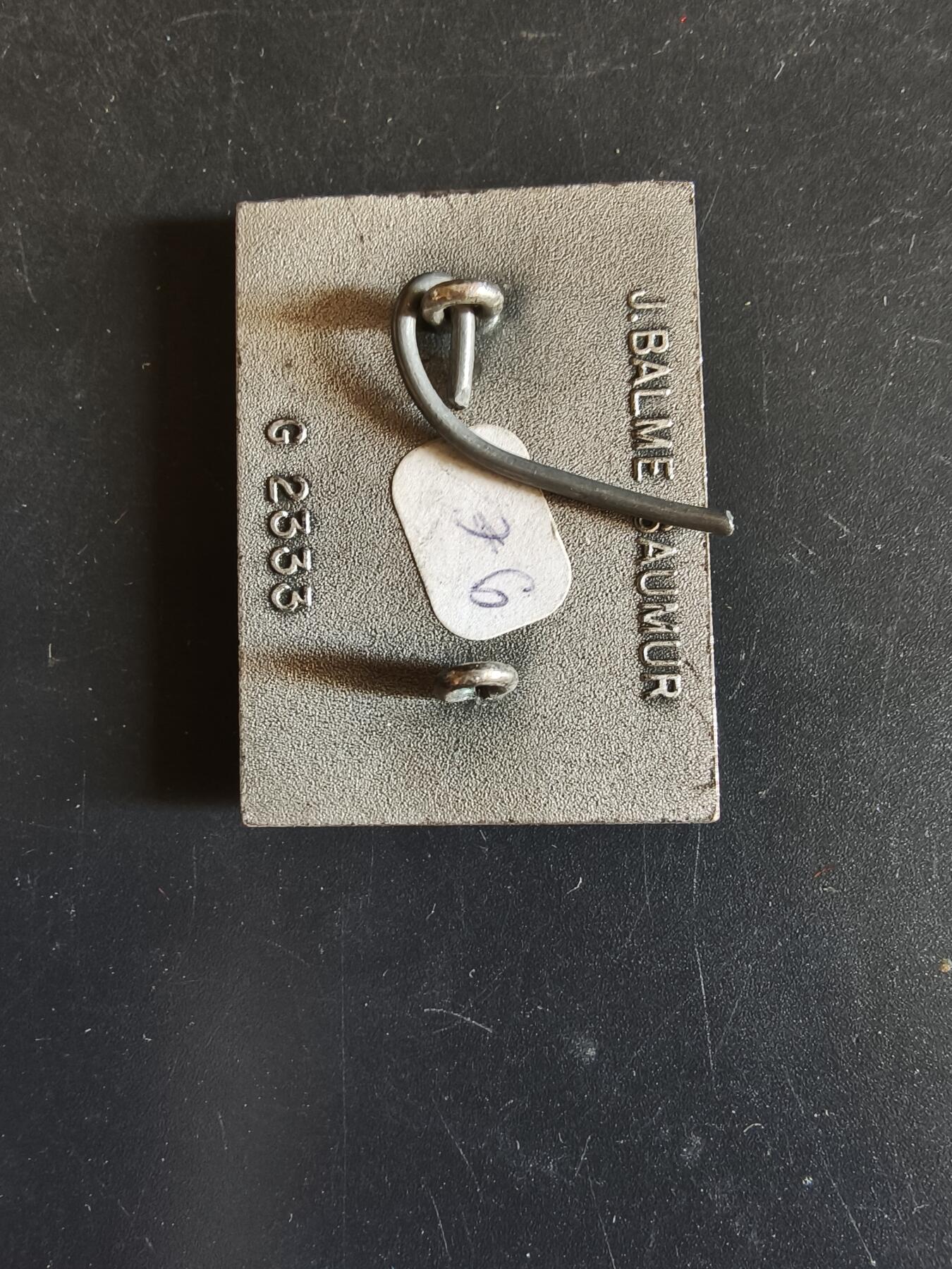 老王徽章第163期 13-15日三场连拍 16日统一发货  13、14日结束后可寄存 法国证章