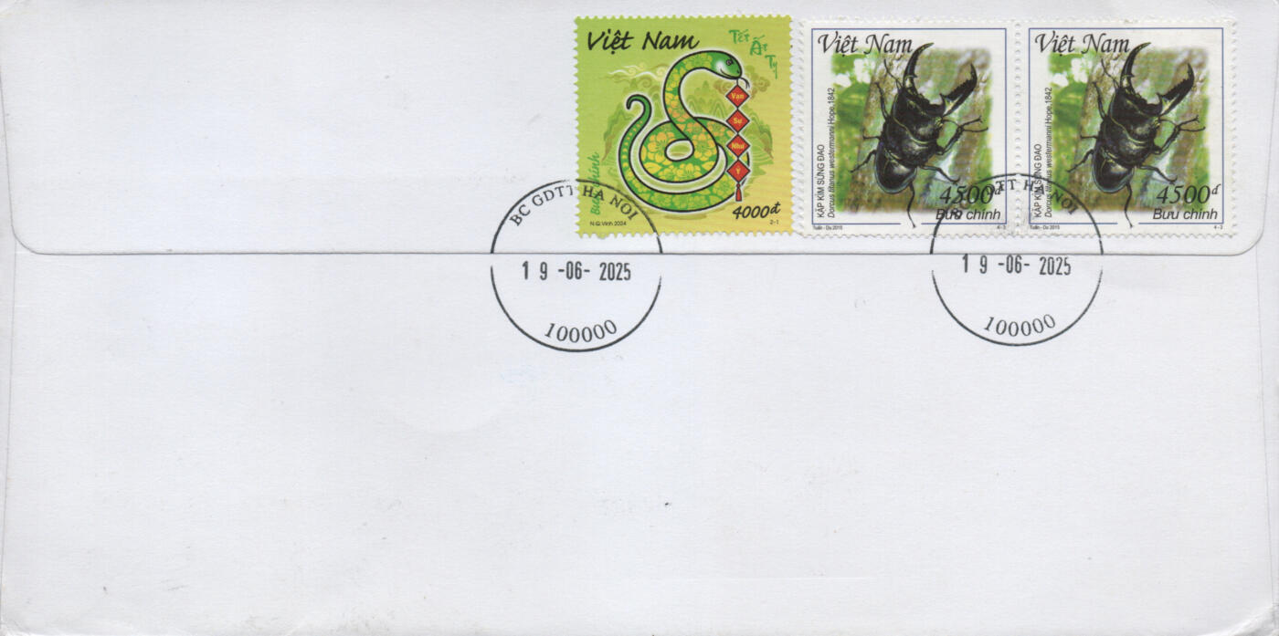 2025年11月22日19:30海外、大陆、澳门、香港邮政精品首日实寄封拍卖专场 2025越南《越南革命新闻诞生100周年》自然封首日实寄封