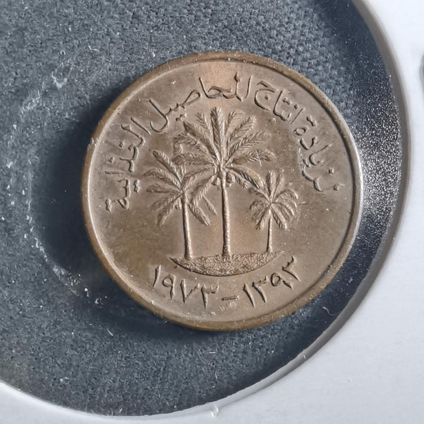 沼泽如烟--第906场 阿联酋