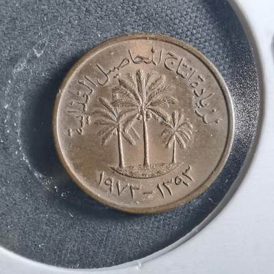 沼泽如烟--第906场 - 阿联酋