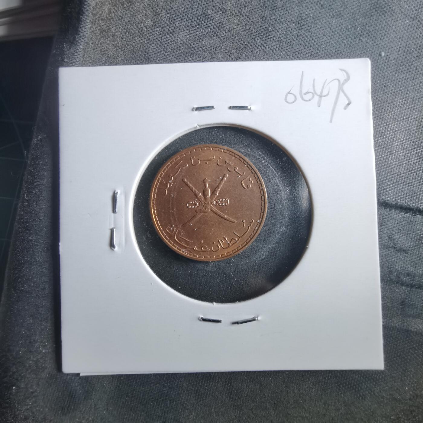 沼泽如烟--第906场