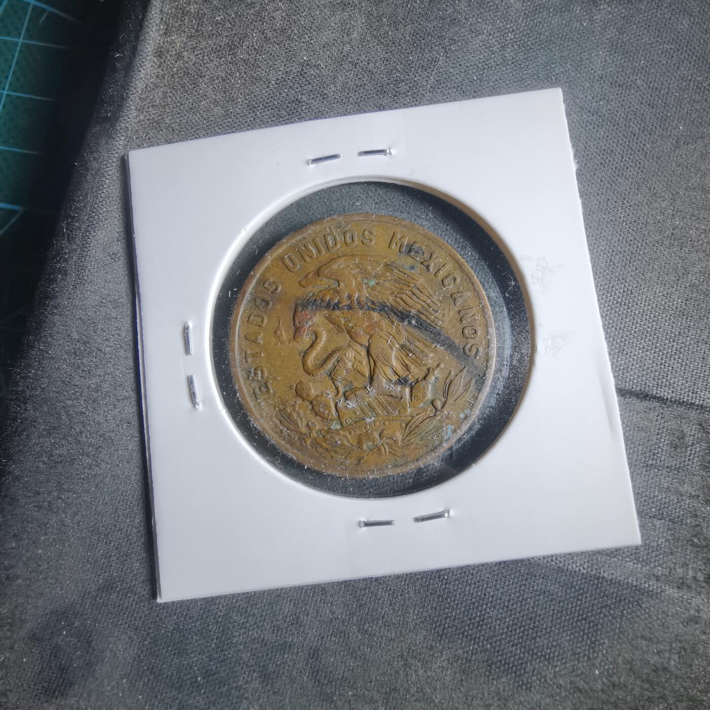 沼泽如烟--第906场