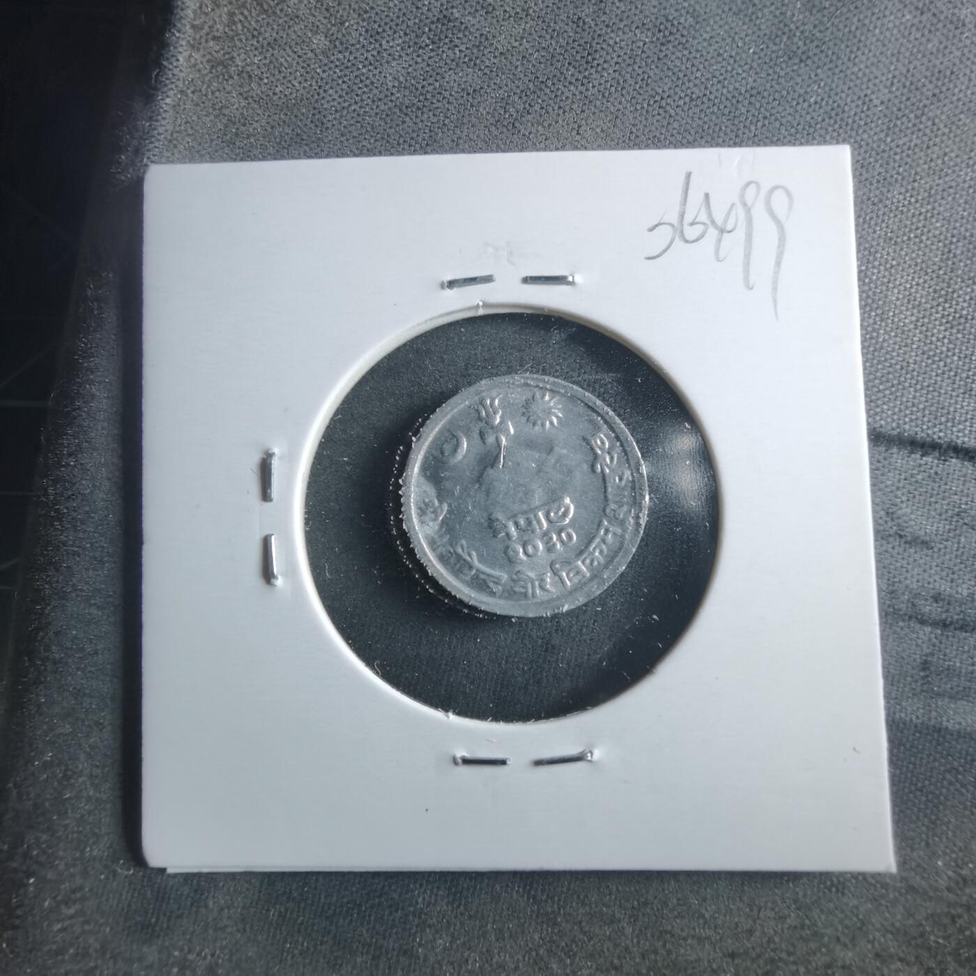 沼泽如烟--第906场