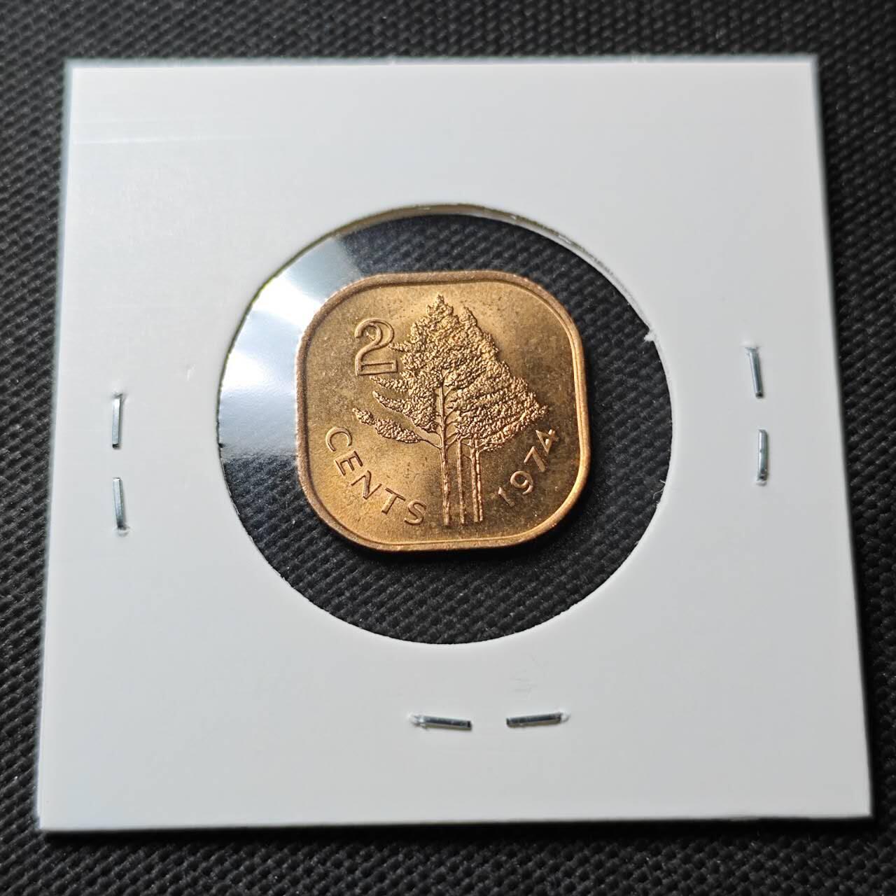 KK钱币收藏小铺  第372场  2月预留时间 周末发货  斯威士兰2分铜币 好品