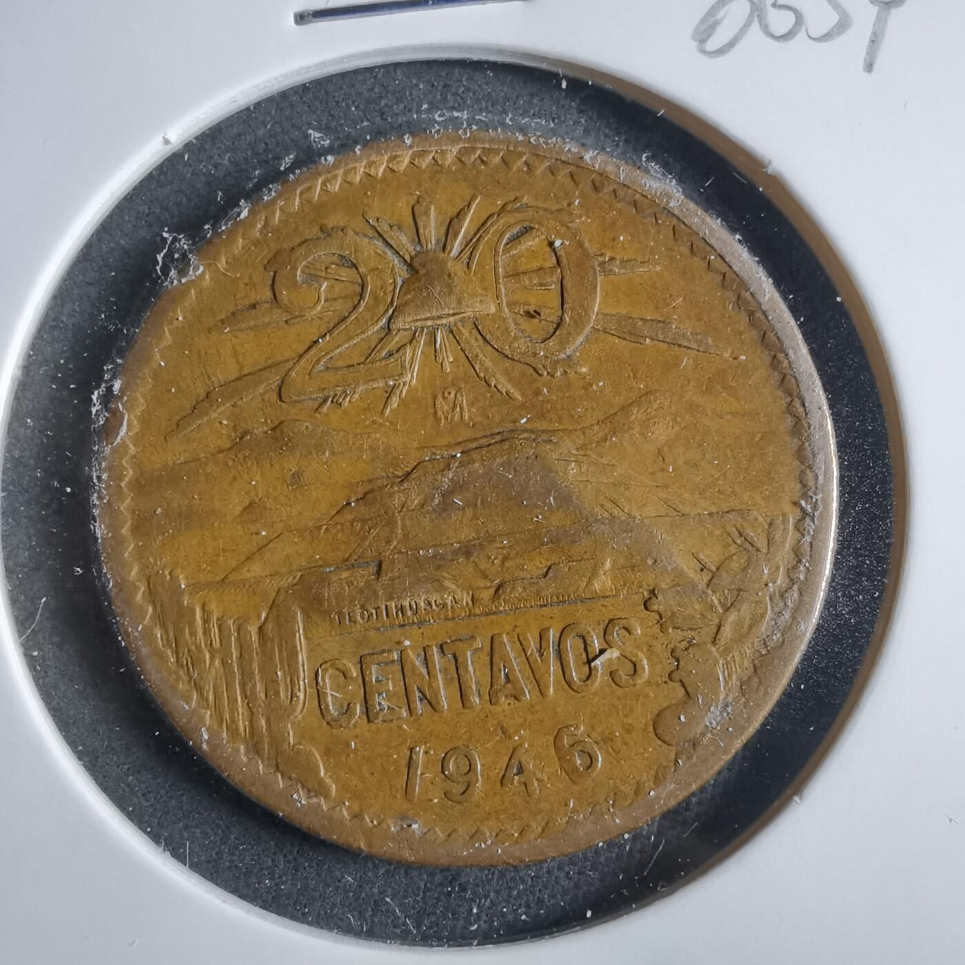 沼泽如烟--第906场