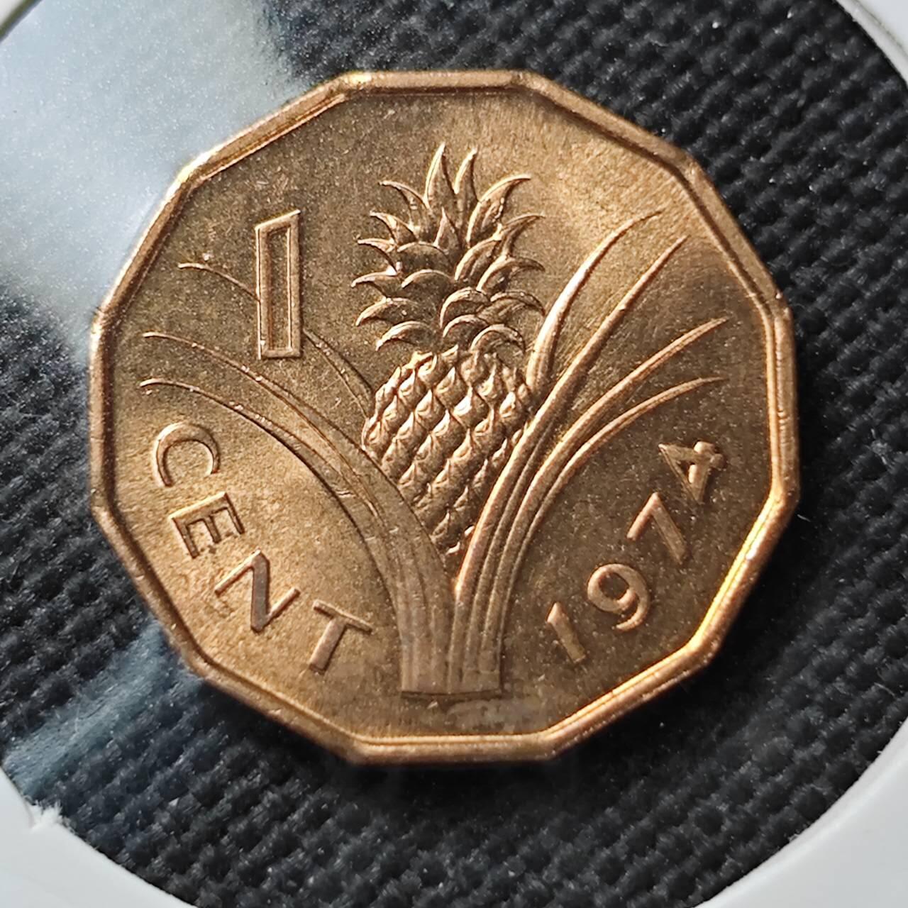 KK钱币收藏小铺  第373场  2月预留时间 周末发货  1974斯威士兰1分铜币 好品