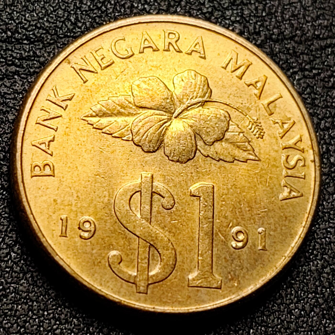 泉币菌-第130场-精品福利场 。