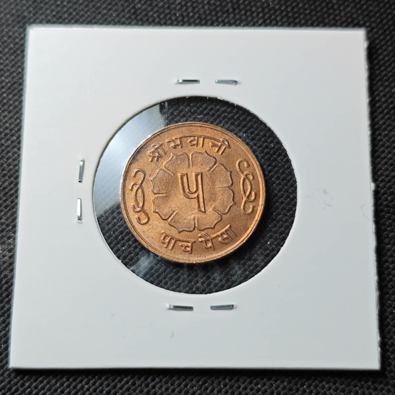 KK钱币收藏小铺  第373场  2月预留时间 周末发货  尼泊尔铜币 好品