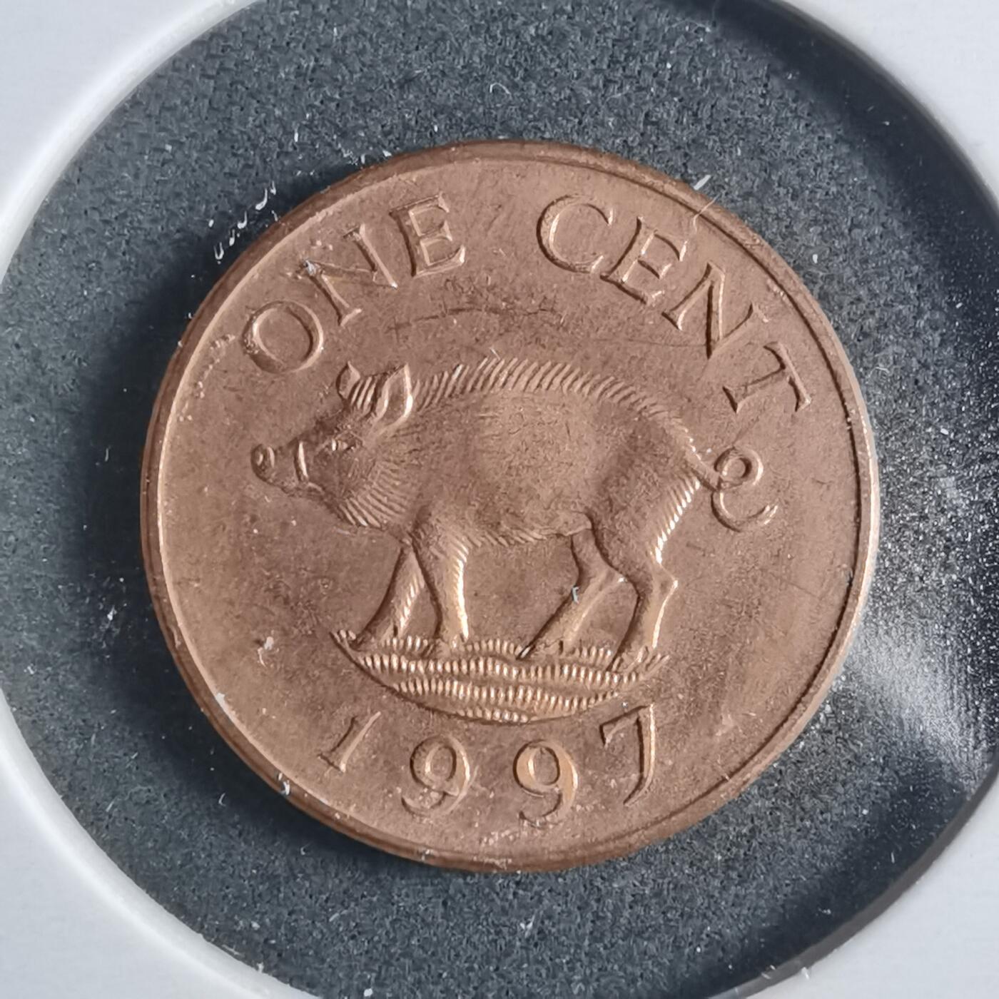 沼泽如烟--第906场 百慕大1997年一分