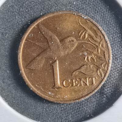 沼泽如烟--第906场 - 多巴哥1999年一分