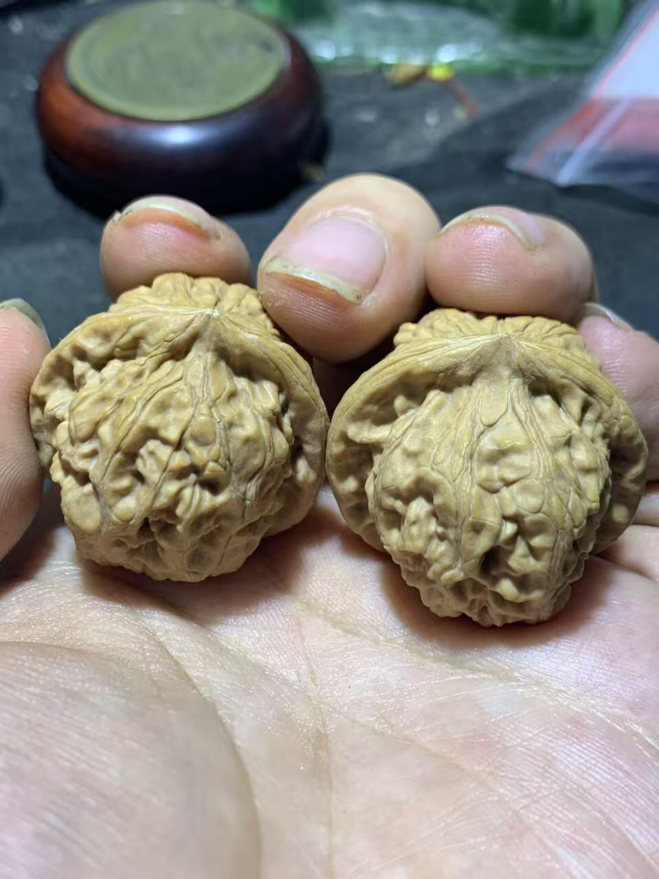 精美小众野生磐石狮子头手捻文玩核桃一对，