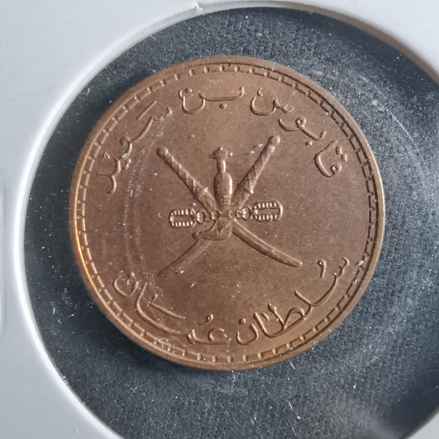 沼泽如烟--第906场