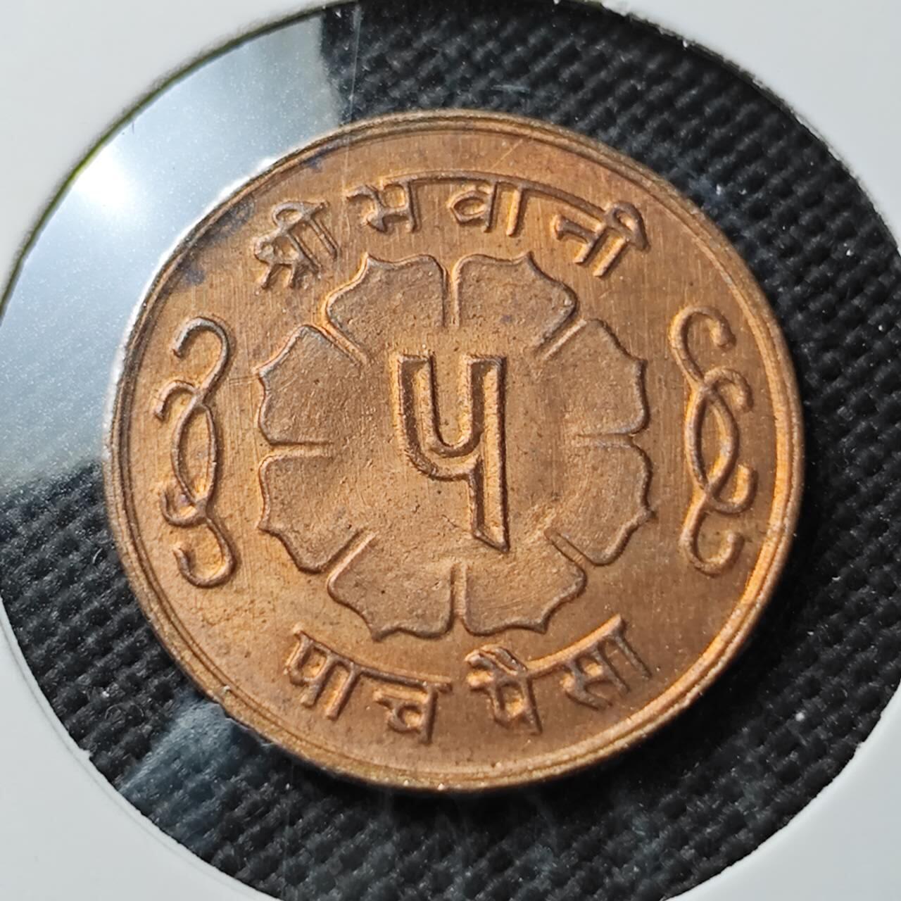 KK钱币收藏小铺  第373场  2月预留时间 周末发货  尼泊尔铜币 好品