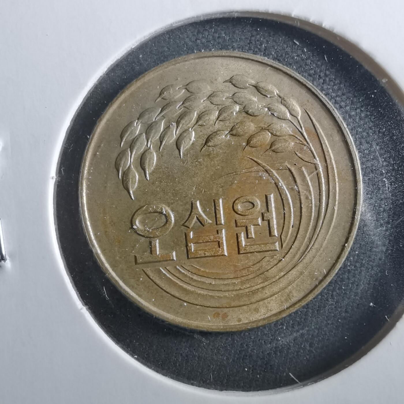 沼泽如烟--第906场