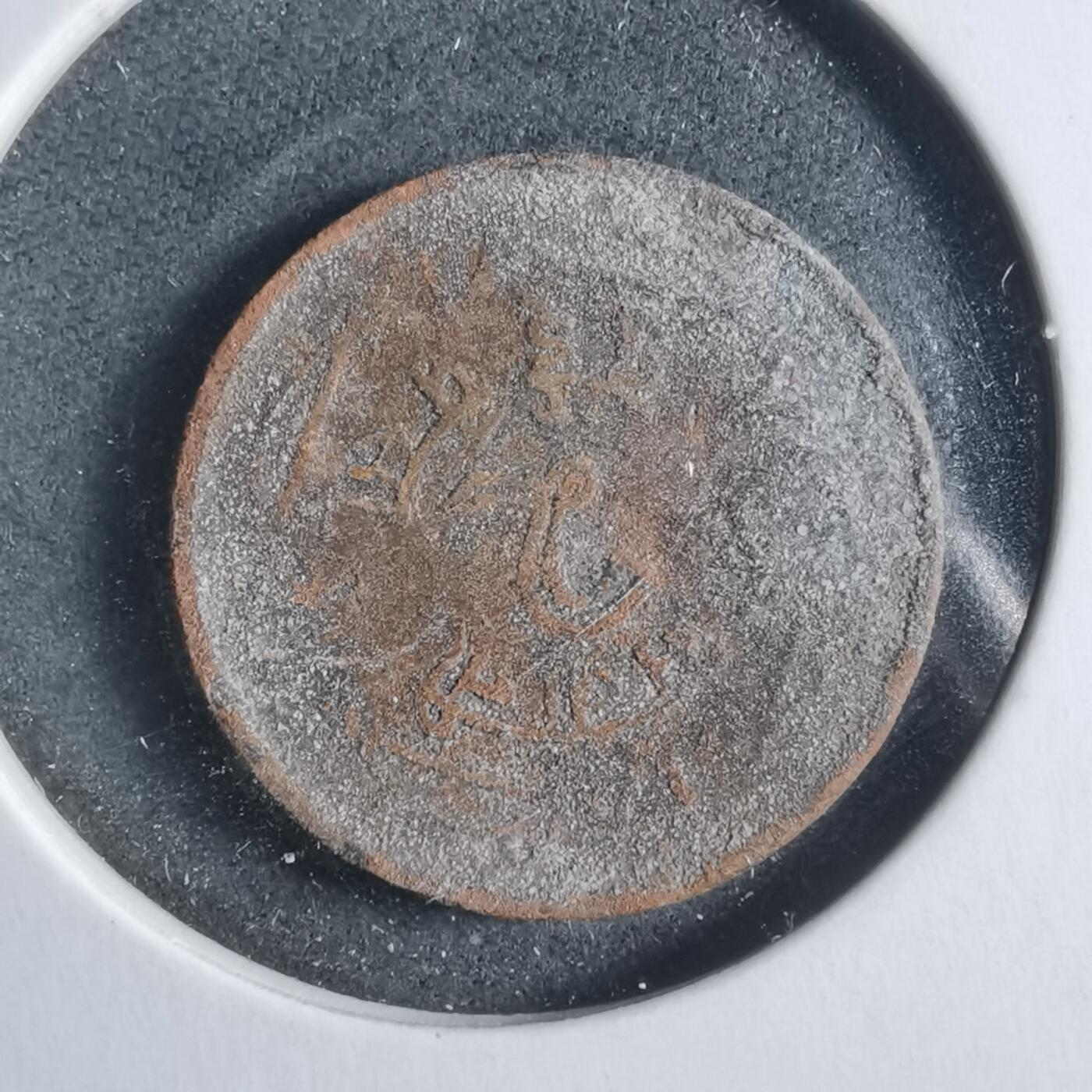 沼泽如烟--第906场