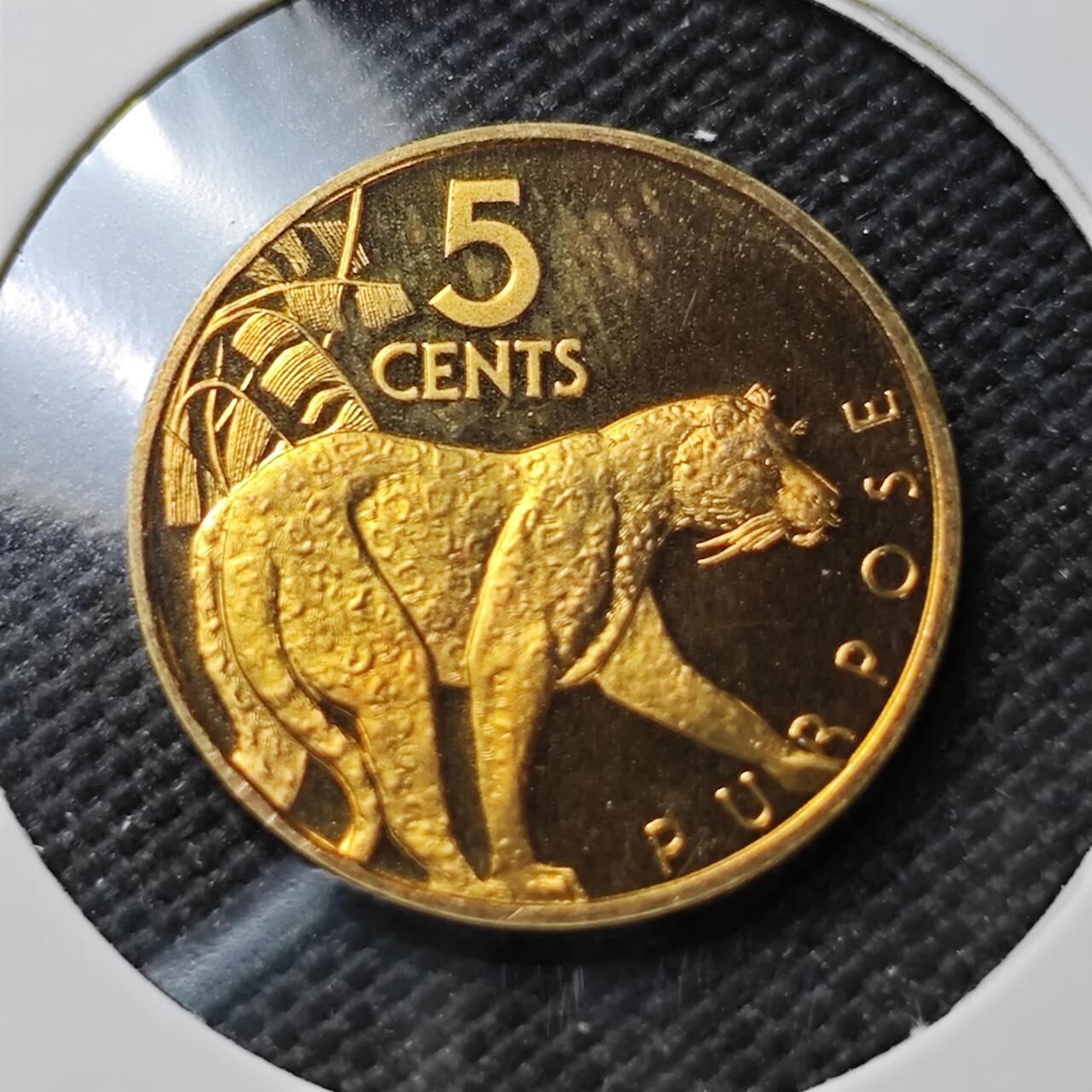 KK钱币收藏小铺  第373场  2月预留时间 周末发货  1979圭亚那5分精制币