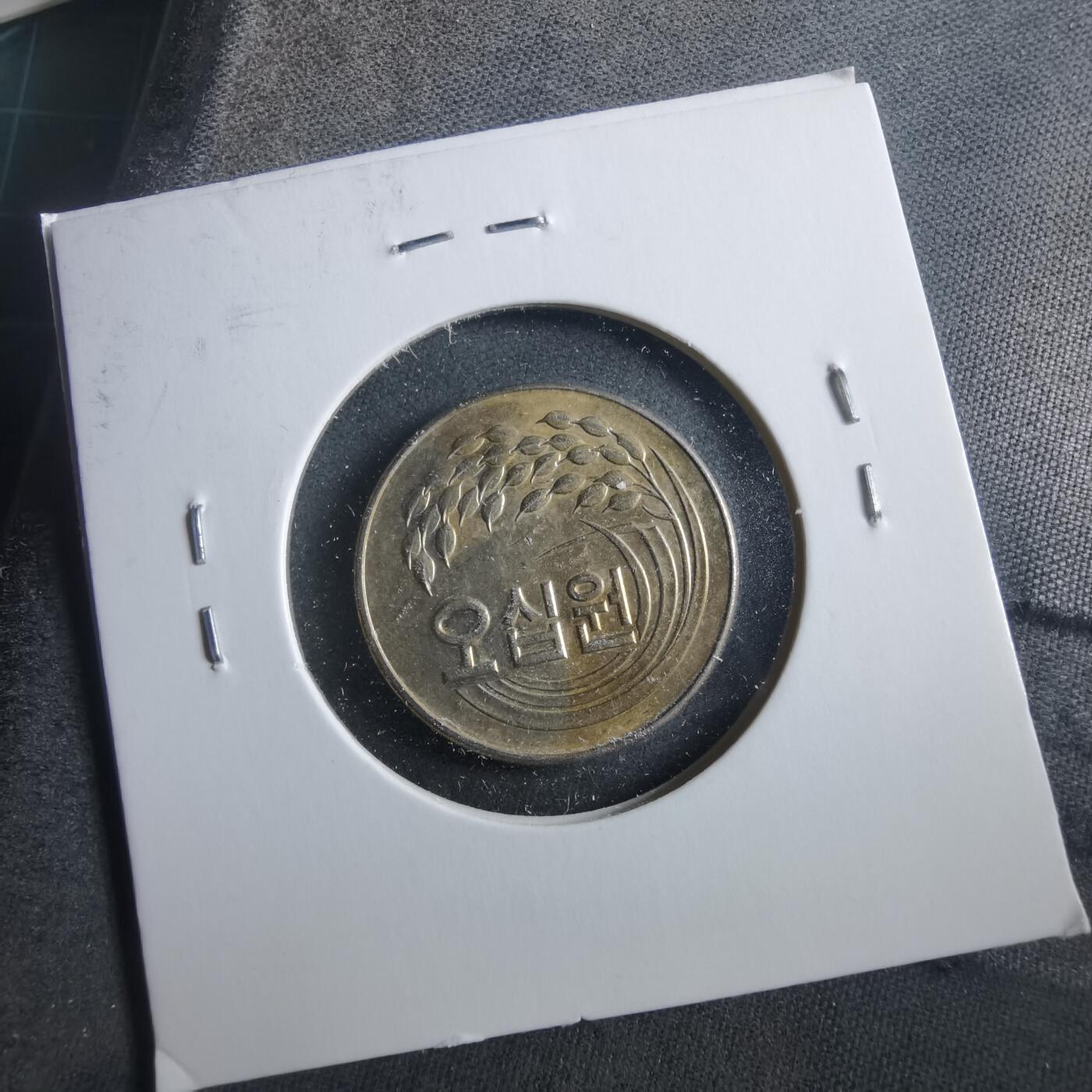 沼泽如烟--第906场