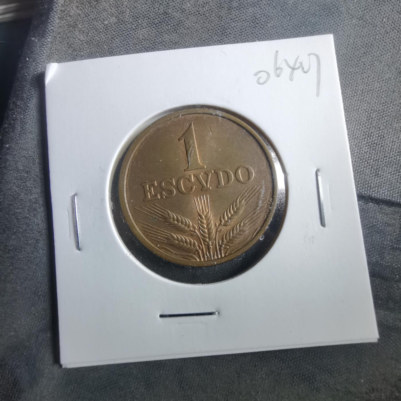 沼泽如烟--第906场