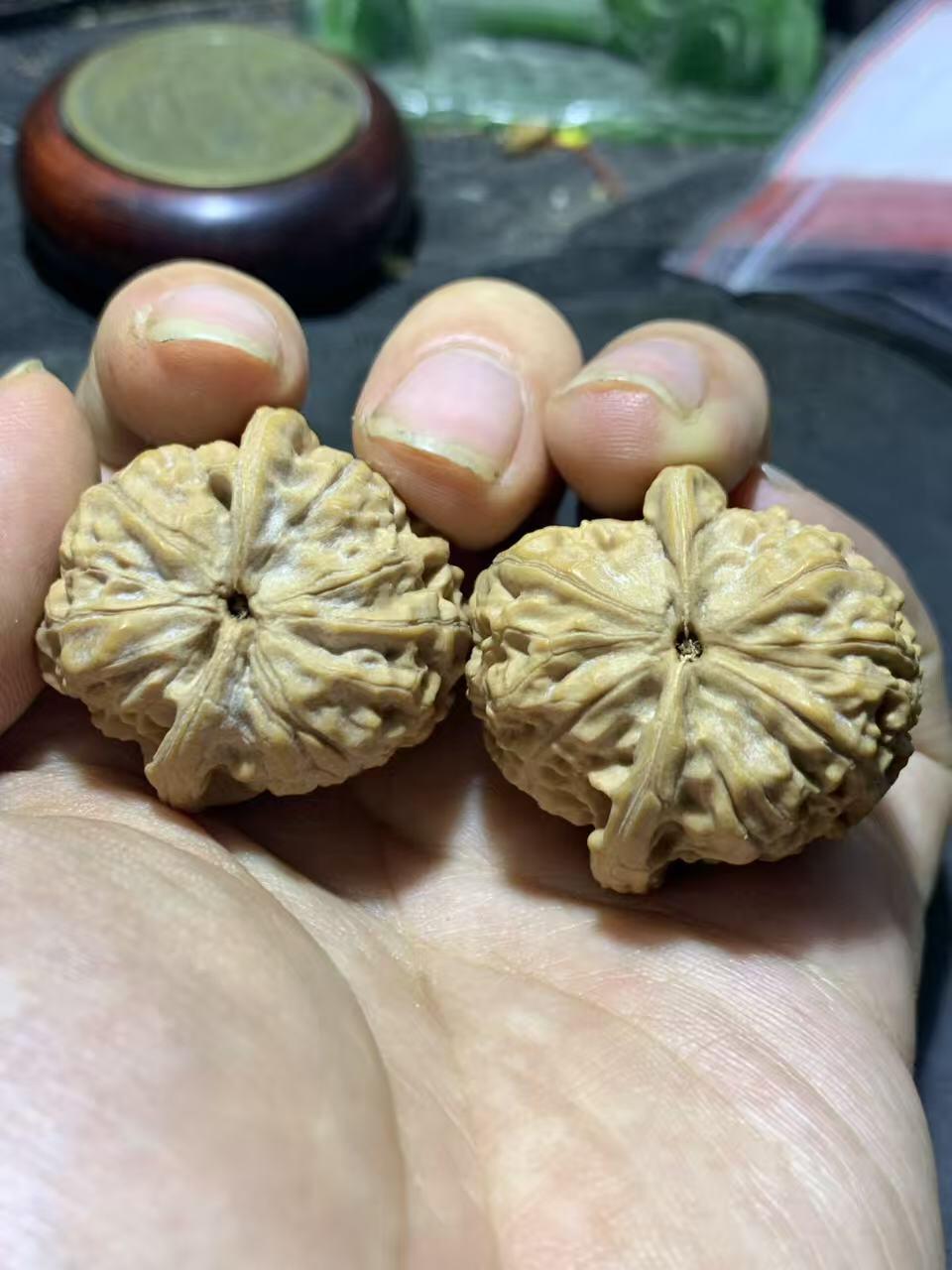 精美小众野生磐石狮子头手捻文玩核桃一对，