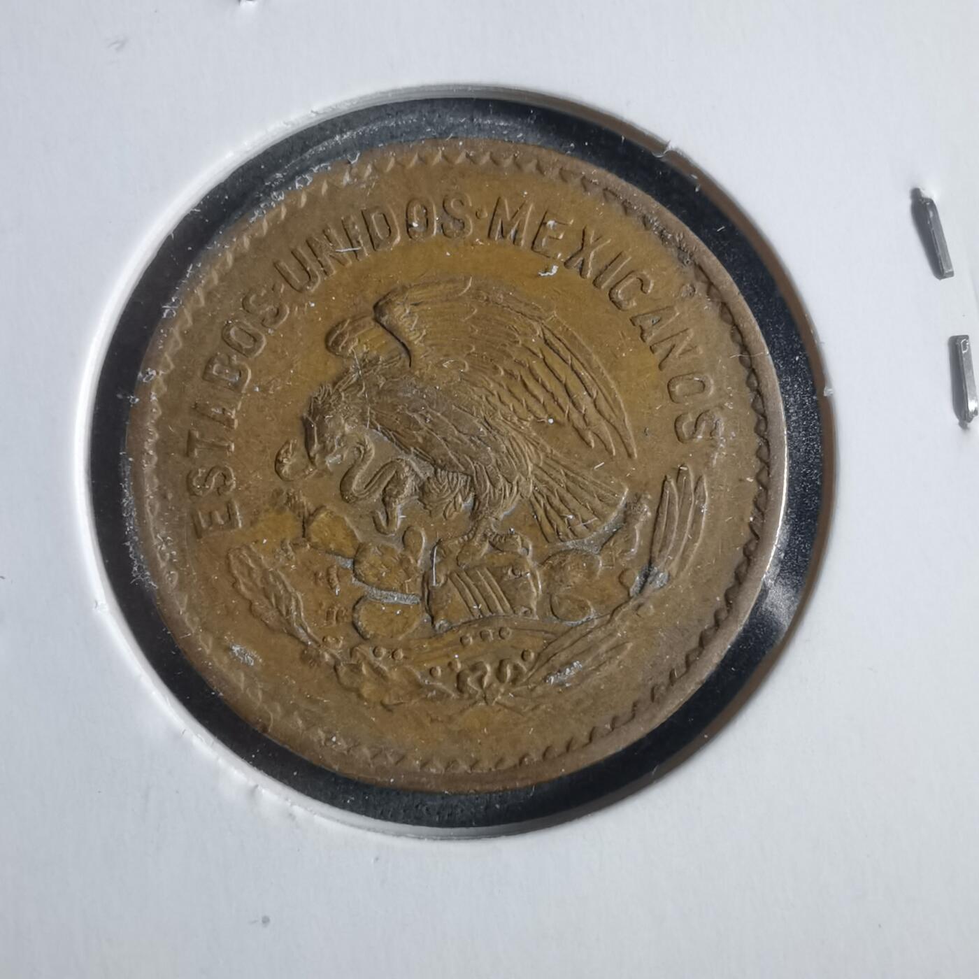 沼泽如烟--第906场