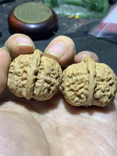 精美小众野生磐石狮子头手捻文玩核桃一对， - 精美小众野生磐石狮子头手捻文玩核桃一对，