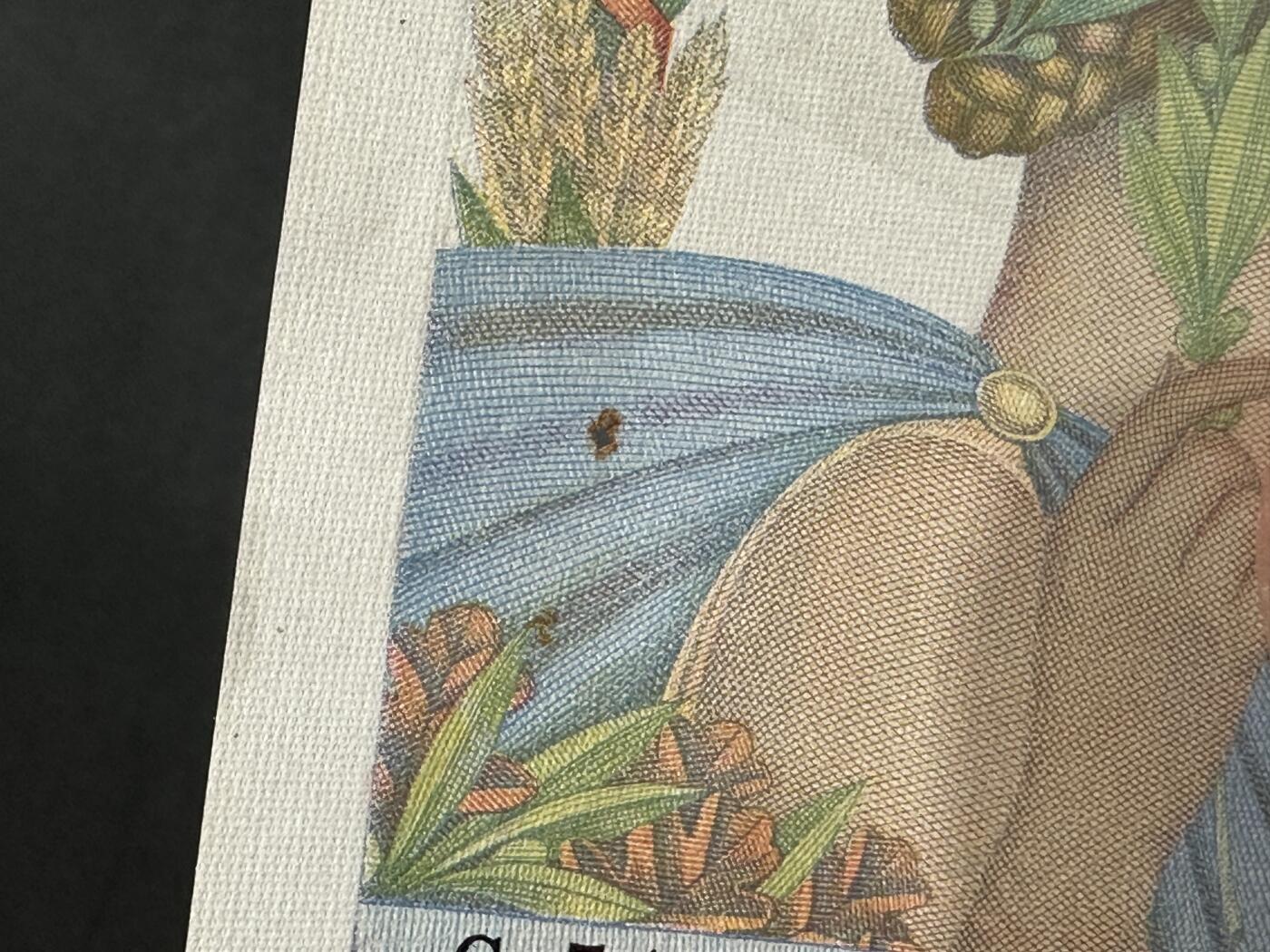 《外钞收藏家》第五百八十六期（品种丰富、精品多）（本平台长期征集拍品、欢迎藏友们联系合作）