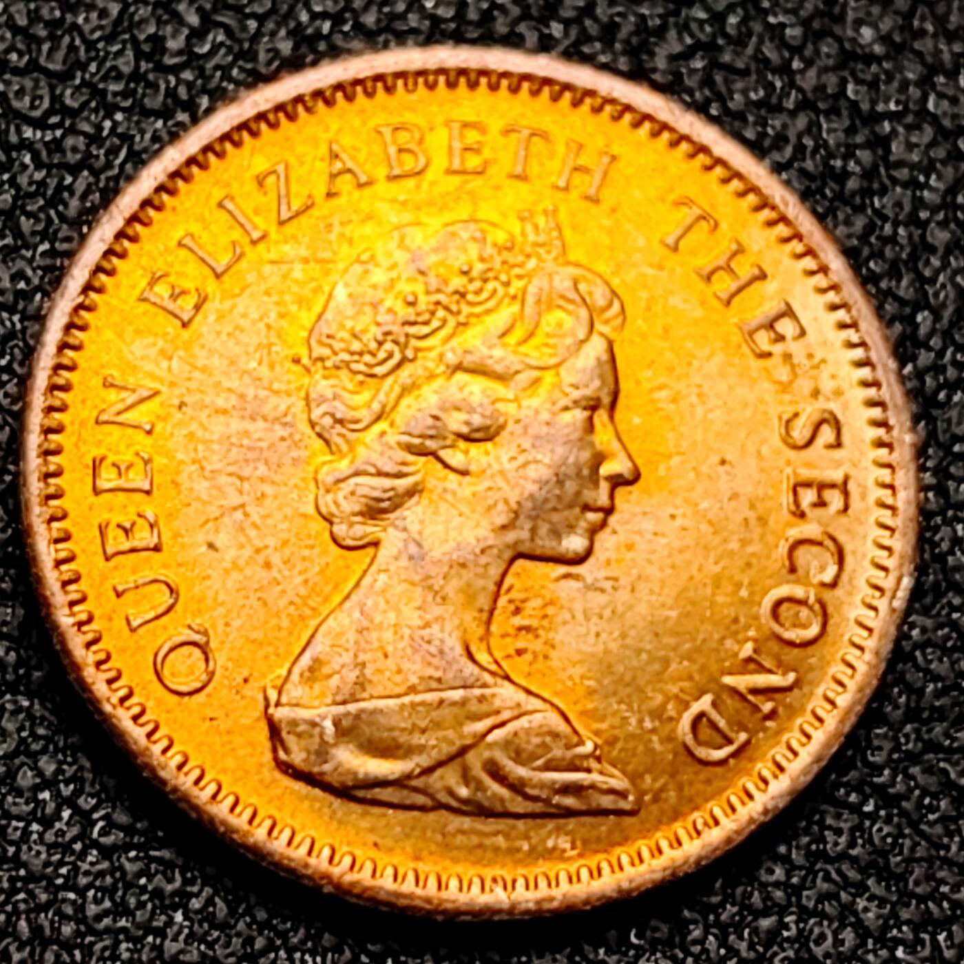 泉币菌-第130场-精品福利场 。