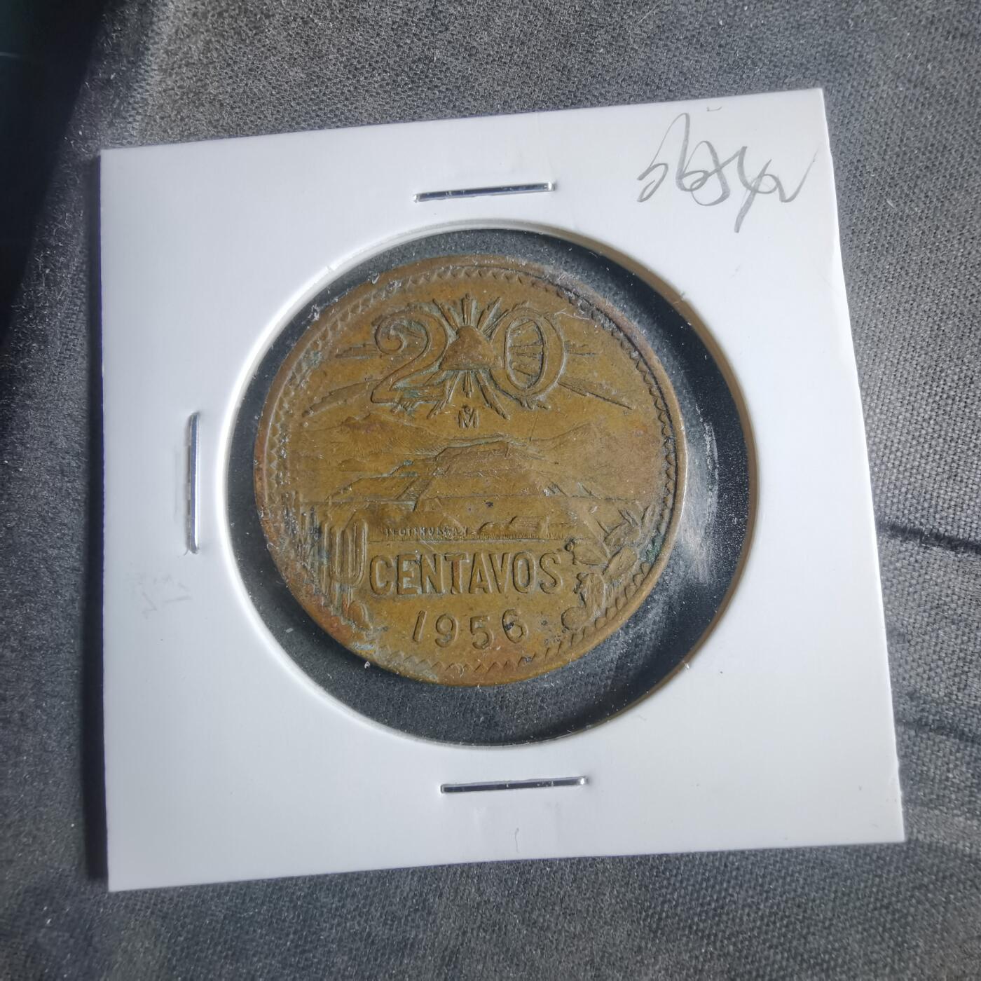 沼泽如烟--第906场