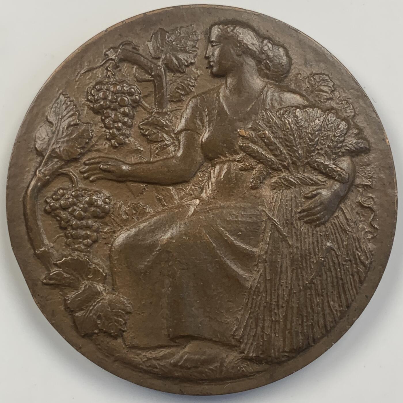 掌中浮雕-藏着的欧洲第042场 1964年法国瓦兹河畔奥伊塞蒙博览会铜奖章，49mm，68g